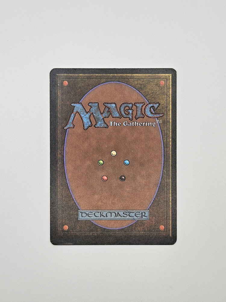 Magic: The Gathering Magic: The Gathering: Foreign White Bordered - Badlands (Ödland)