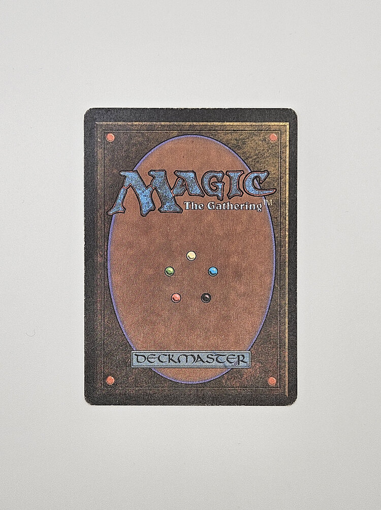 Magic: The Gathering Magic: The Gathering: Revised - Bayou