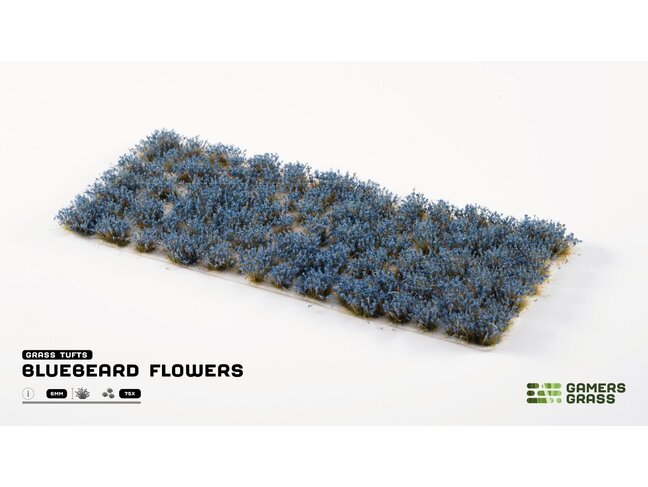 Gamers Grass Bluebeard Flowers