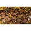 Gamers Grass Gamers Grass: Grass Tufts - Broom Flowers