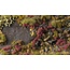 Gamers Grass Gamers Grass: Grass Tufts - Heather Flowers