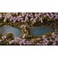 Gamers Grass Gamers Grass: Grass Tufts - Lavender Flowers