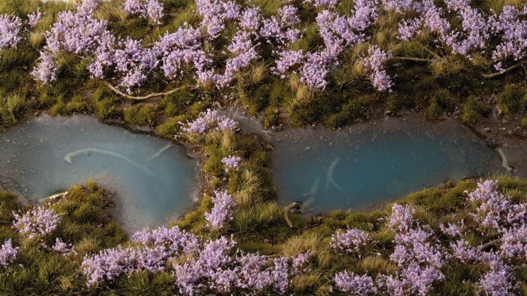 Gamers Grass Gamers Grass: Grass Tufts - Lavender Flowers