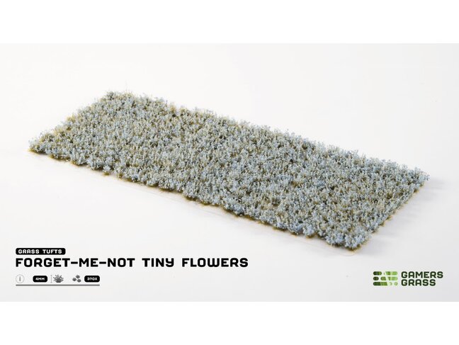 Gamers Grass Forget-me-not Tiny Flowers