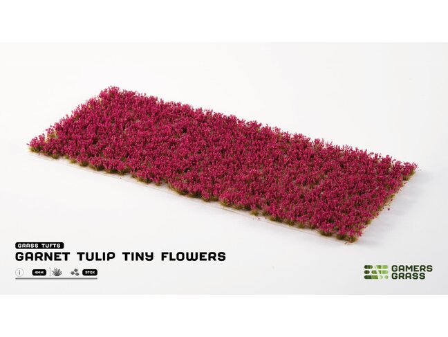 Gamers Grass Garnet Tulip Tiny Flowers