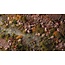 Gamers Grass Gamers Grass: Grass Tufts - Pink Orchid Tiny Flowers