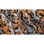 Gamers Grass Gamers Grass: Grass Tufts - Autumn Shrubs