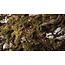 Gamers Grass Gamers Grass: Grass Tufts - Dark Green Shrubs
