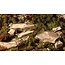 Gamers Grass Gamers Grass: Grass Tufts - Dry Green Shrubs