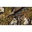 Gamers Grass Gamers Grass: Grass Tufts - Swamp Shrubs