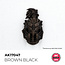 AK Interactive AK Interactive: Quick Gen Color - Brown Black