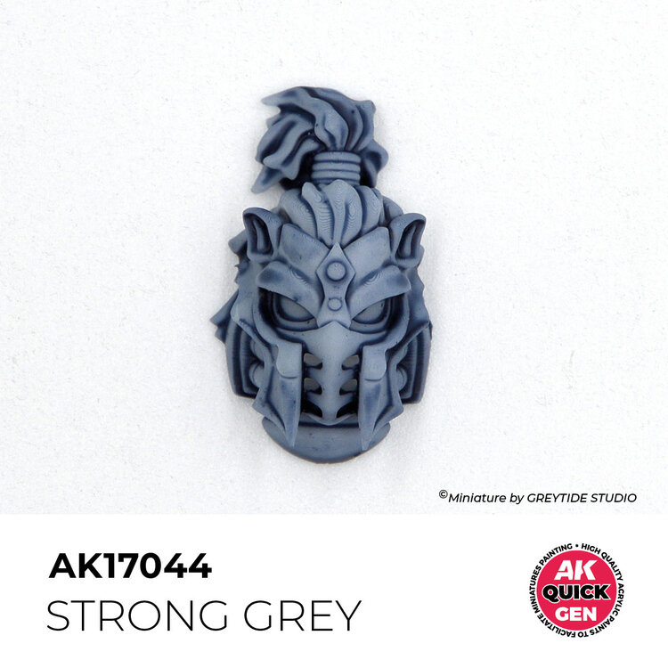 AK Interactive AK Interactive: Quick Gen Color - Strong Grey