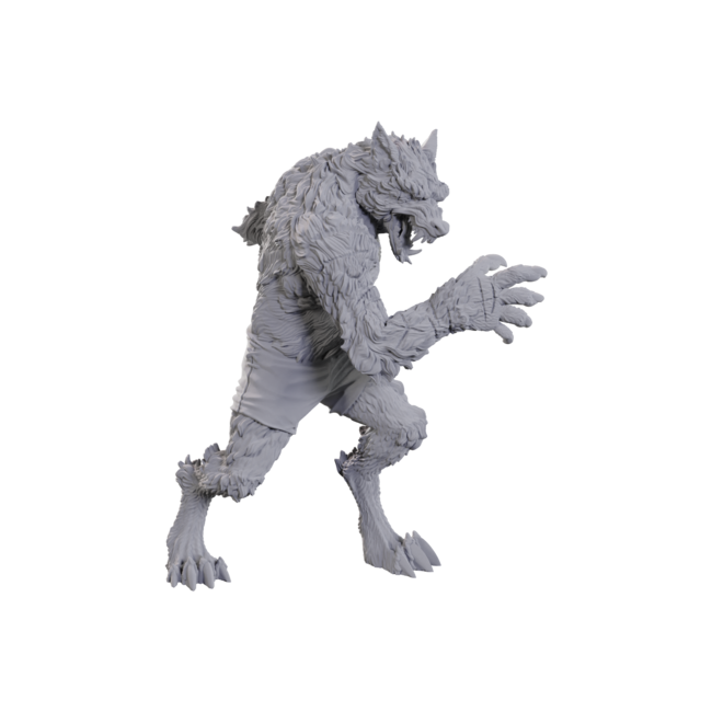 Wizkids Wizkids - Critical Role: Chetney Pock O'pea & Werewolf