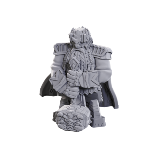 Wizkids Male Dwarf Champion High-Level
