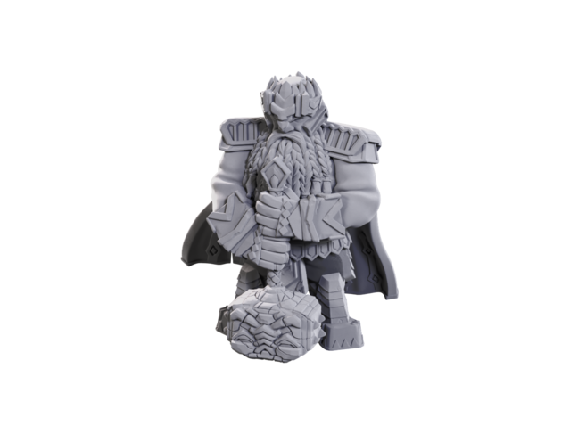 Wizkids Male Dwarf Champion High-Level