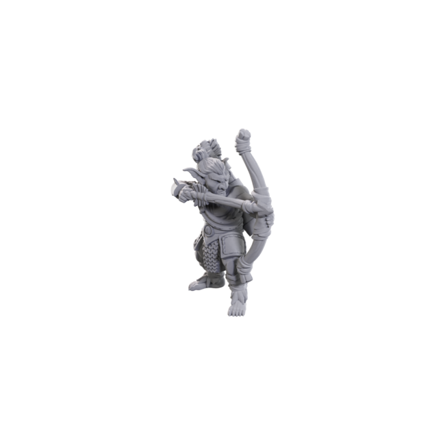 Wizkids Wizkids - Nolzur's Marvelous Miniatures: Goblins