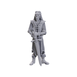 Wizkids Skeleton Knights