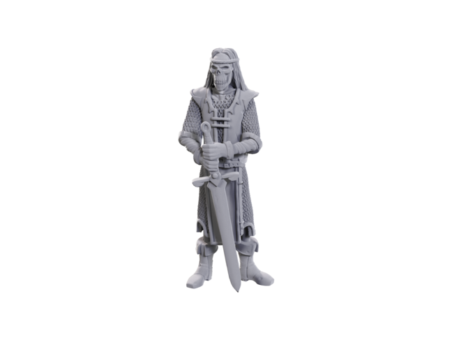 Wizkids Skeleton Knights