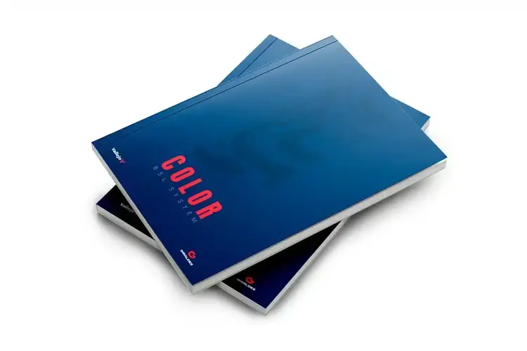 Giraldez Angel Giraldez: Color - BSL System (en)