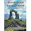 Loke Battle Mats Loke Battle Mats: Giant Book of Battle Mats: Wilds, Wrecks & Ruins