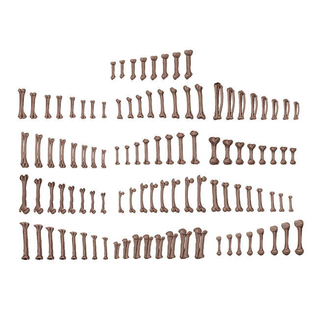 AK Interactive AK Interactive - Basing Bits: Wargame Scenery - Human Bones