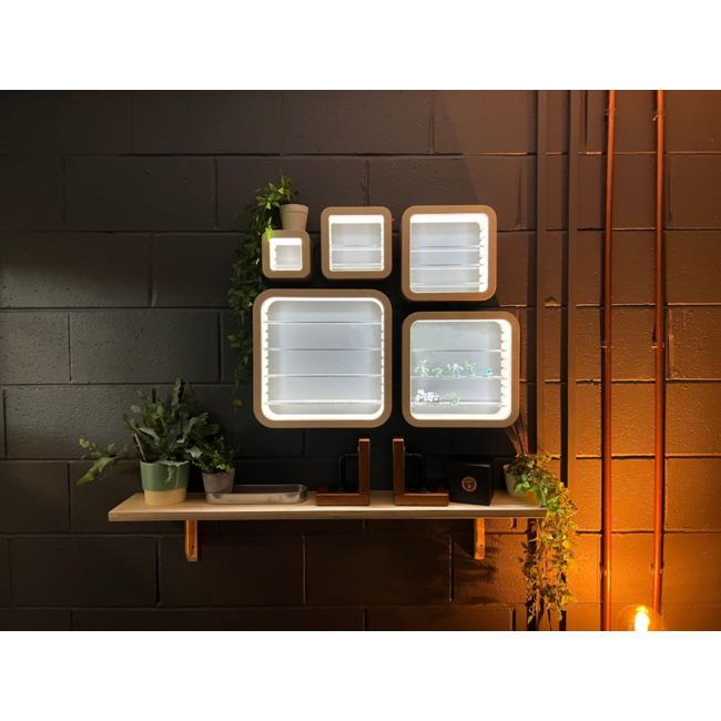 Artis Opus Artis Opus: Display Cabinets - Square Bundle (5 Sizes - XS, S, M, L, XL)