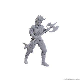 Wizkids Wyll & Karlach