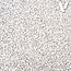 Vallejo Vallejo - Diorama FX: Alcaline White (2-5mm)