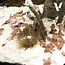 Vallejo Vallejo - Diorama FX: Snow