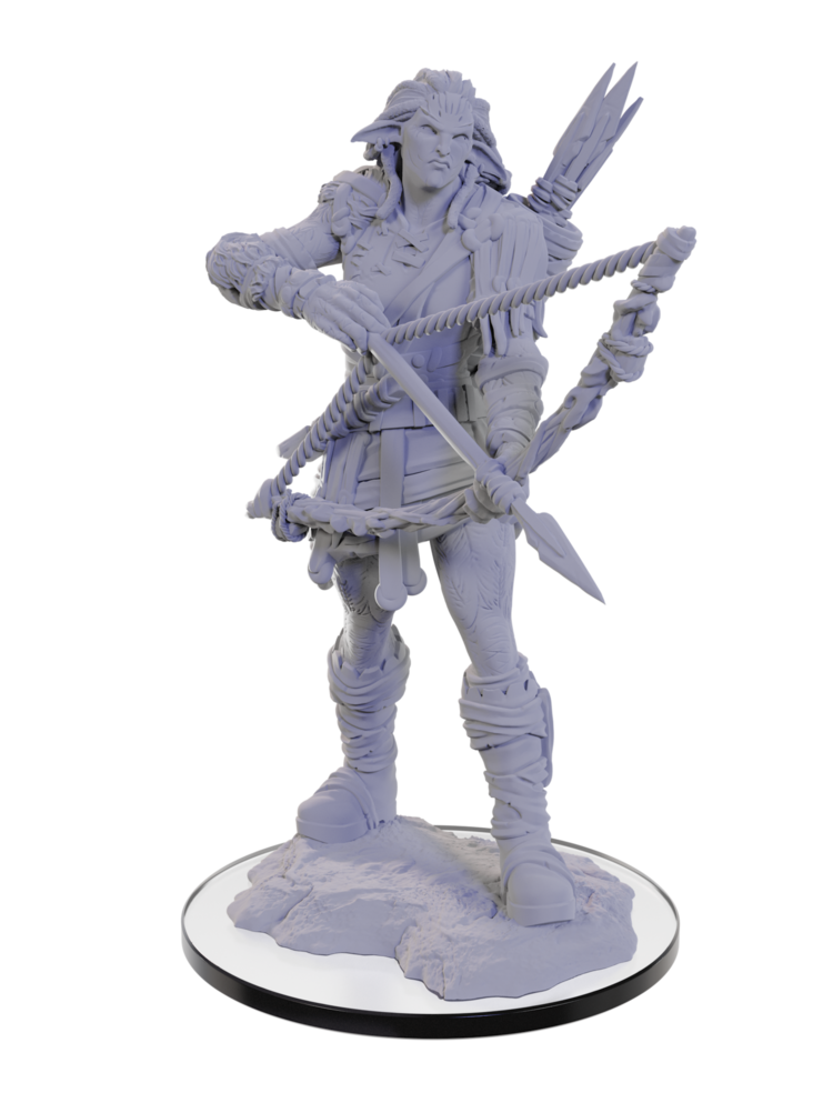 Wizkids Wizkids - Pathfinder Battles: Wood Giant