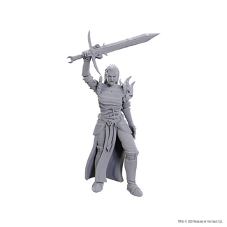 Wizkids Blackguard