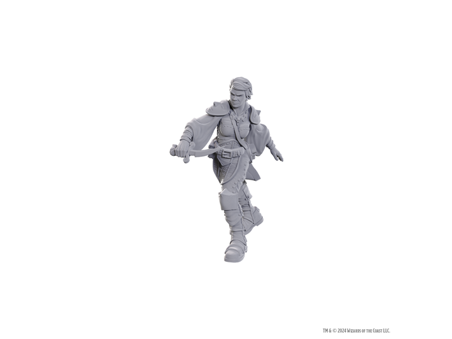 Wizkids Swashbuckler