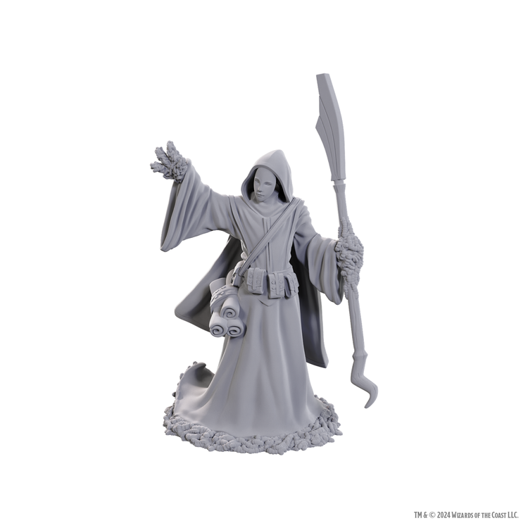 Wizkids Wizkids - Nolzur's Marvelous Miniatures: Star Spawn Larva Mage
