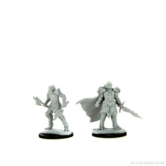 Wizkids Female Dragonborn Fighter
