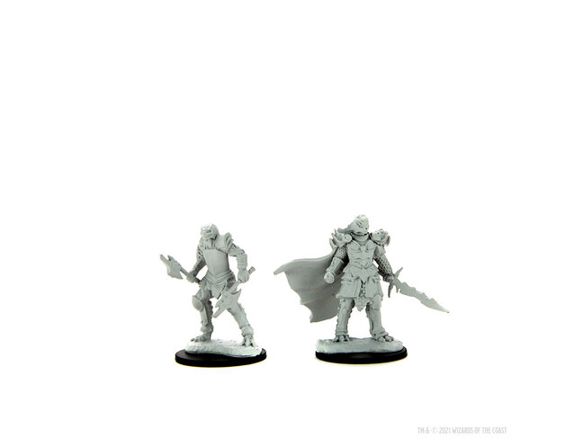 Wizkids Female Dragonborn Fighter