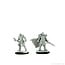 Wizkids Wizkids - Nolzur's Marvelous Miniatures: Female Dragonborn Fighter