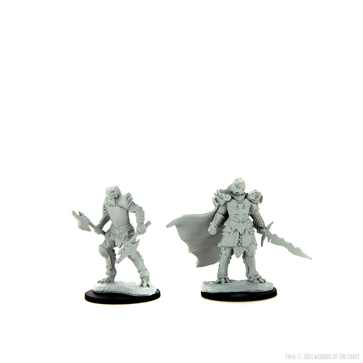 Wizkids Wizkids - Nolzur's Marvelous Miniatures: Female Dragonborn Fighter
