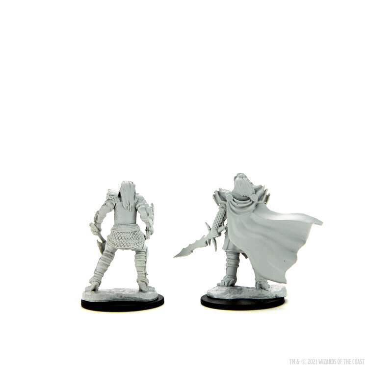 Wizkids Wizkids - Nolzur's Marvelous Miniatures: Female Dragonborn Fighter
