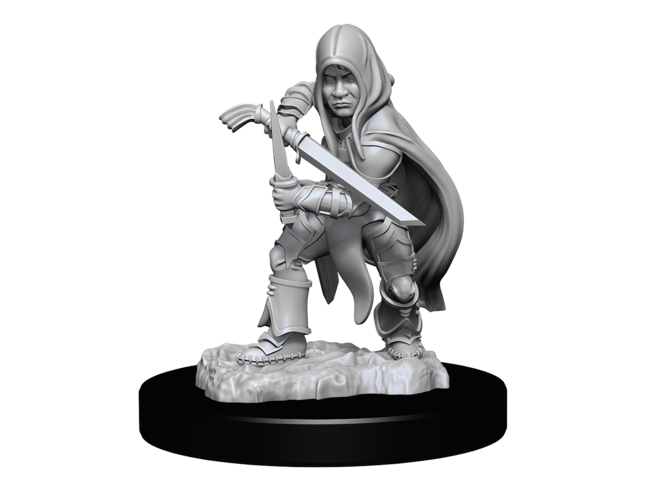 Wizkids Halfling Rogue