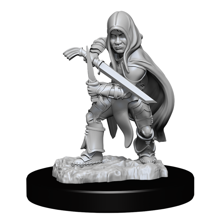 Wizkids Wizkids - Nolzur's Marvelous Miniatures: Halfling Rogue