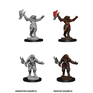 Wizkids Dragonborn Fighter