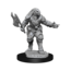Wizkids Wizkids - Nolzur's Marvelous Miniatures: Dragonborn Fighter