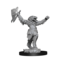 Wizkids Wizkids - Nolzur's Marvelous Miniatures: Dragonborn Fighter