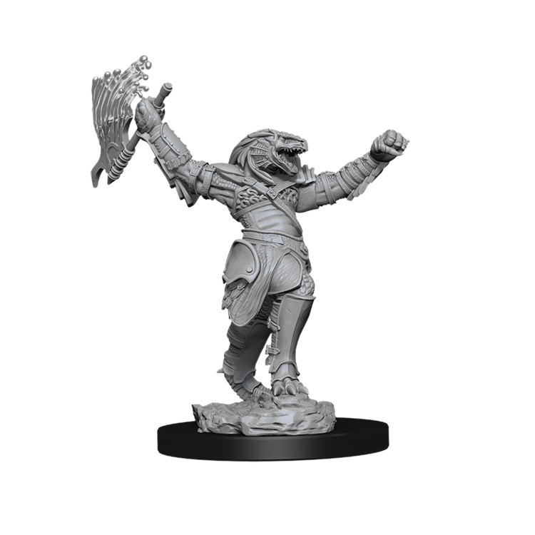 Wizkids Wizkids - Nolzur's Marvelous Miniatures: Dragonborn Fighter