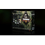 The Grimdark Compendium Zatcaskagoon Miniatures - The Grimdark Compendium - Villainy Ink: Flesh Core Set 2