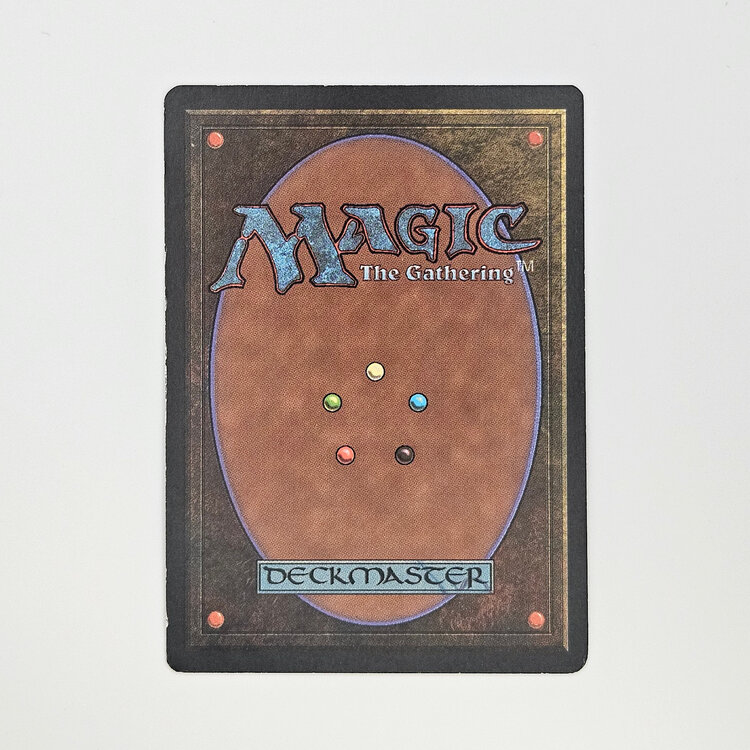 Magic: The Gathering Magic: The Gathering: Foreign Black Bordered - Volcanic Island (Vulkaninsel)