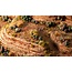 Gamers Grass Gamers Grass: Basing Bits - Barrel Cacti