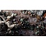 Gamers Grass Gamers Grass: Basing Bits - Chaos Shards