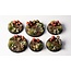 Gamers Grass Gamers Grass: Basing Bits - Forest Mushrooms