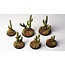 Gamers Grass Gamers Grass: Basing Bits - Saguaro Cacti
